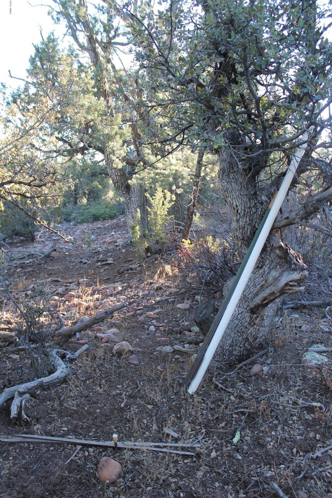 428 S Pleasant View Dr, Show Low, AZ 85901 - photo 5