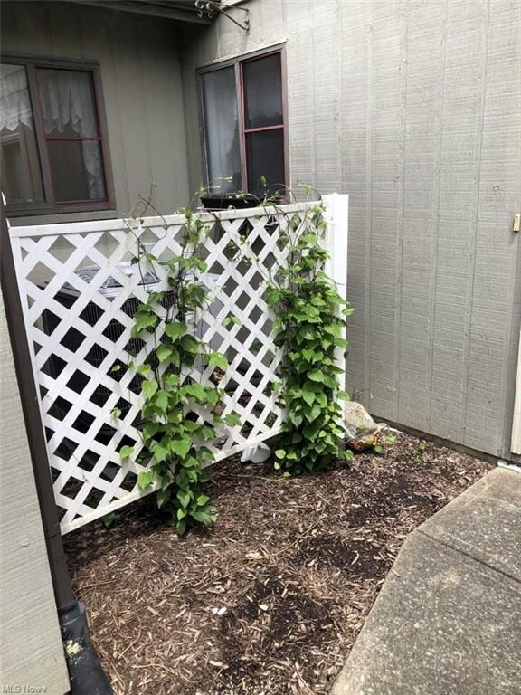 Trellis with climbing Clematis that will bloom later in summer, hides the AC unit
