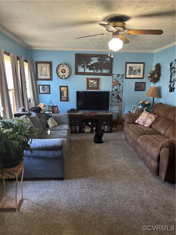 Living area with ceiling fan, crown molding, a tex