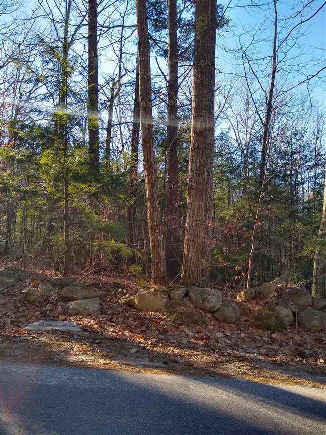 0 Forest Rd unit 7, Wolfeboro, NH 03894 - photo 3