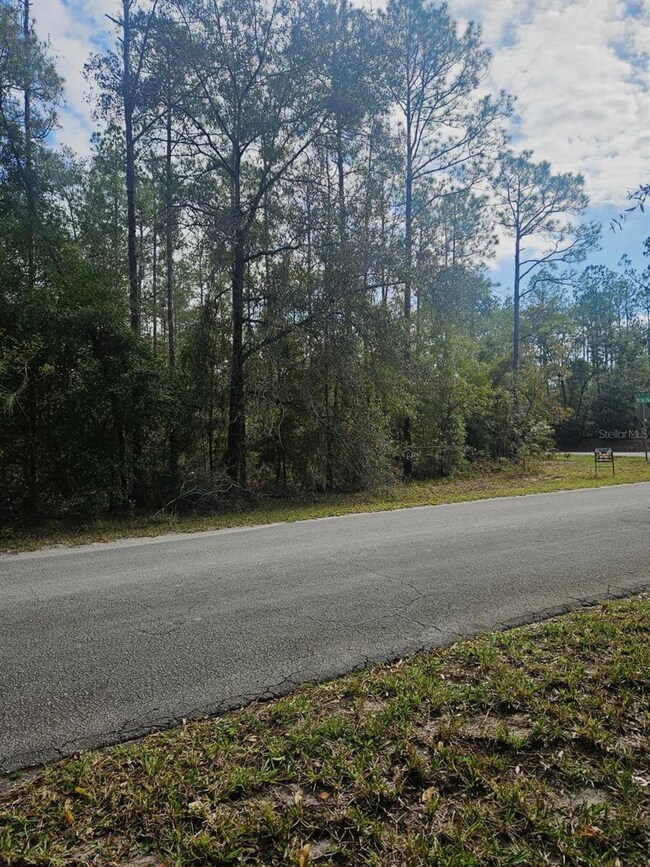 0 SW 206th Court Rd, Dunnellon, FL 34431 - photo 7