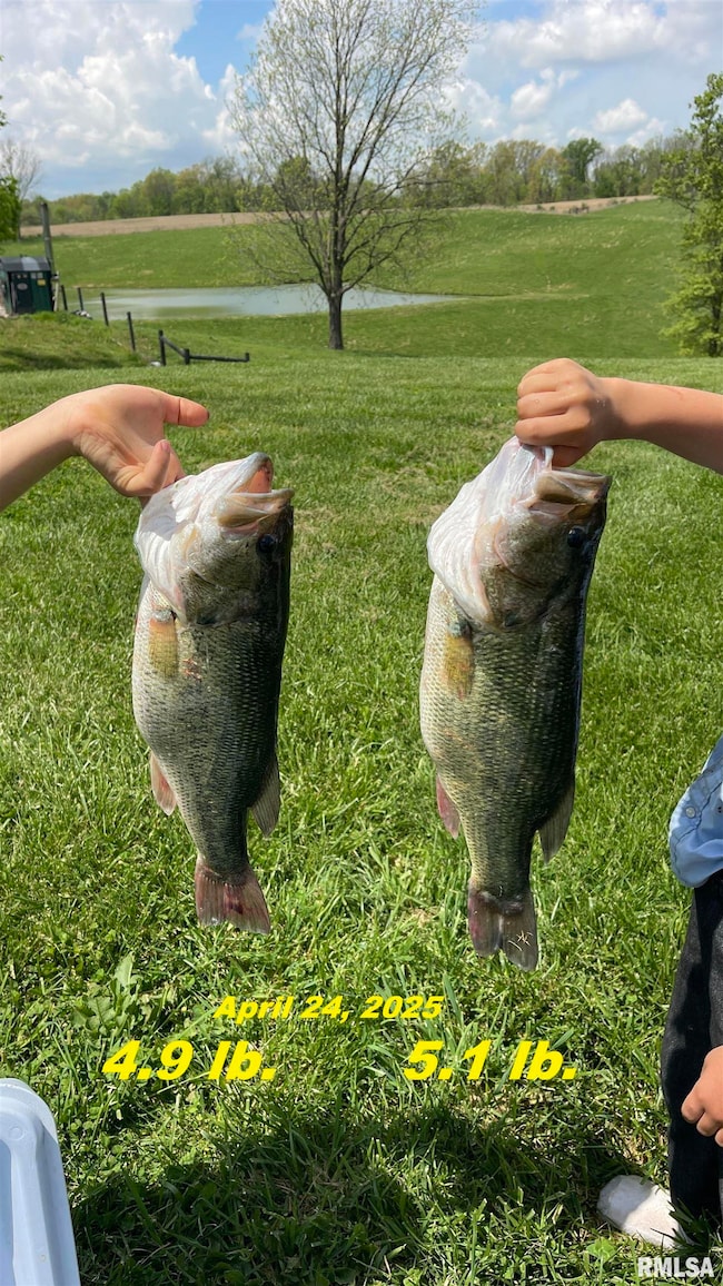 1548 Koehn Rd, Ava, IL 62907 - photo 2