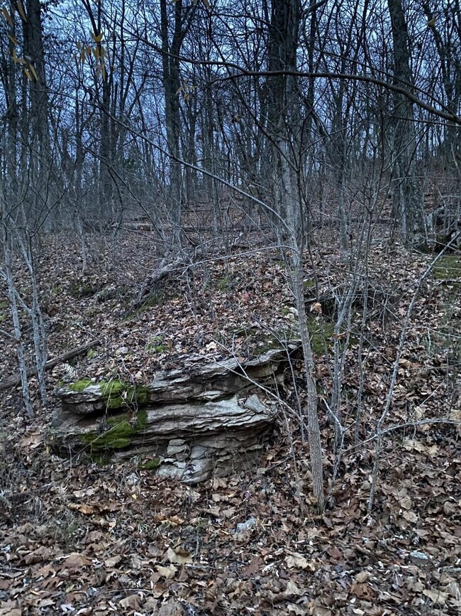 43 Skylee, Hollister, MO 65672 - photo 2