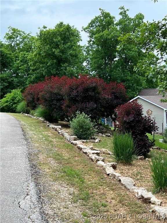 295 Jumping Bass Cove Rd, Roach, MO 65787 - photo 3