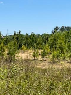 8 Stanley Rd unit Lot 8, Leesville, LA 71446 - photo 4