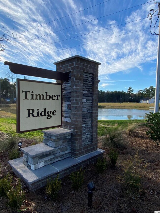 236 Red Maple Loop unit Lot 13 Model Darcy C, Longs, SC 29568 - photo 2