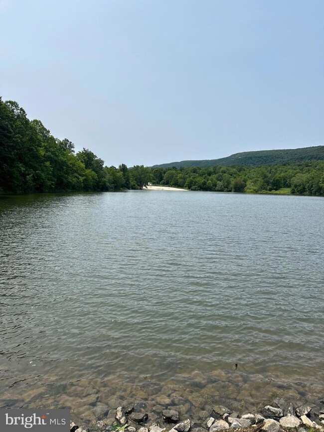 102 Duwamish Trail, Winchester, VA 22602 - photo 4