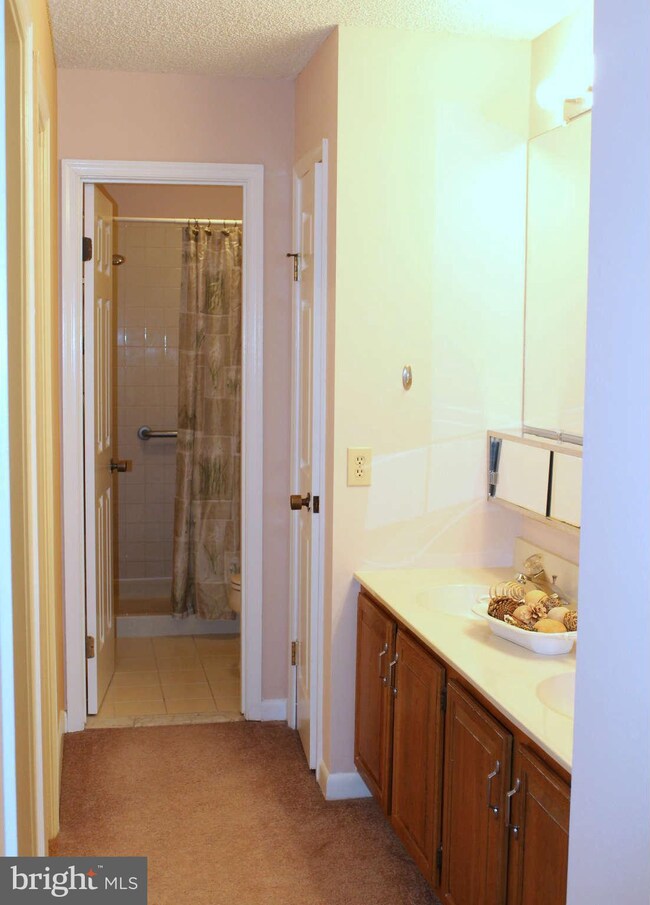 458 Cranes Roost Ct, Annapolis, MD 21409 - photo 6