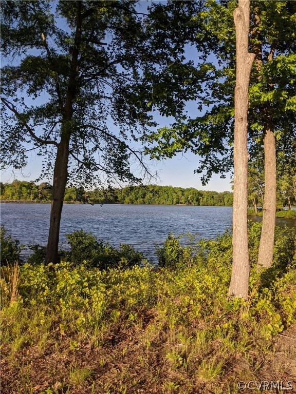 15451 Genito Rd, Chesterfield, VA 23112 - photo 5