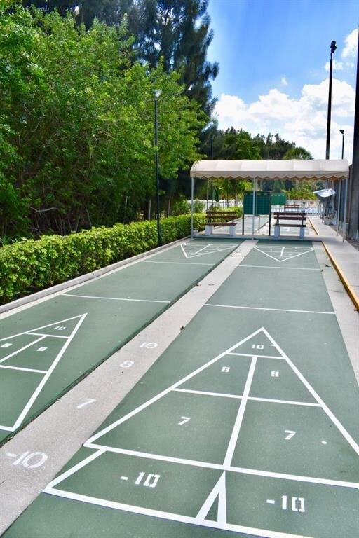 Shuffleboard