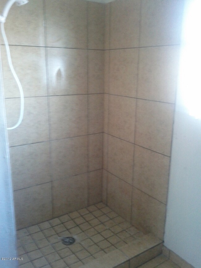 Master Shower