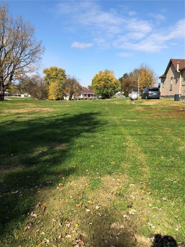 202 E Jefferson Ave, Batchtown, IL 62006 - photo 3