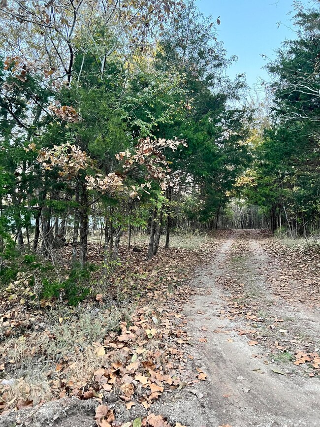 OZARK CO MO REAL ESTATE