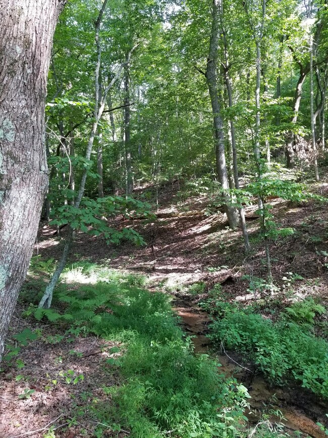 5 Goode Mountain