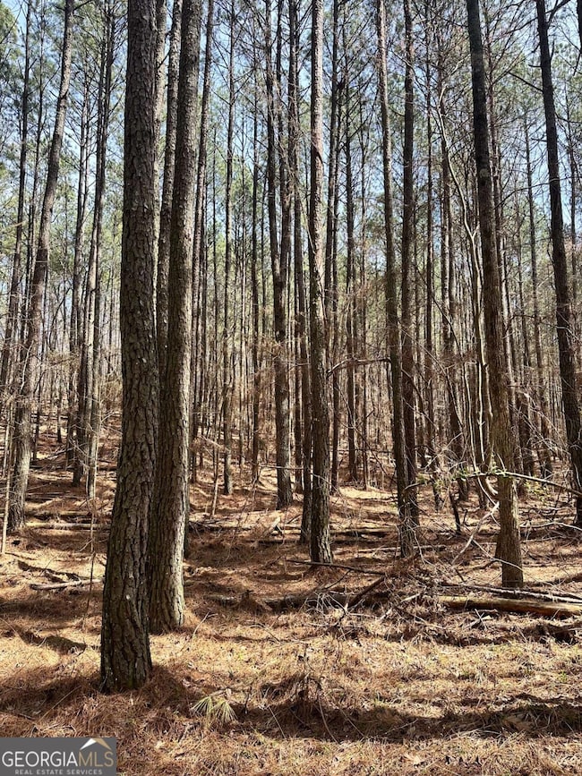 0 Autry Rd SW unit 10489984, Plainville, GA 30733 - photo 5