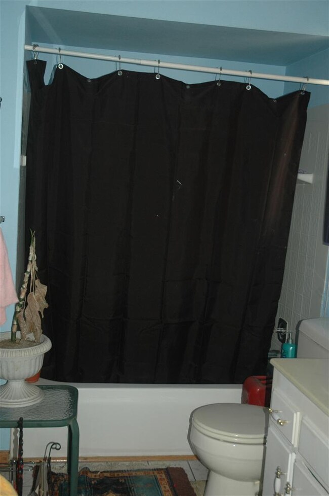 Hall Bath (upstairs)
