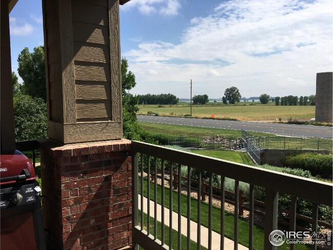 804 Summer Hawk Dr unit 5201, Longmont, CO 80504 - photo 3