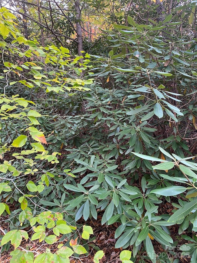 0000 Raleigh Dr unit 8 & 9, Lake Lure, NC 28746 - photo 2