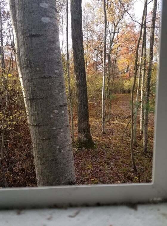 V/L W 14 Mile Rd, Lilley Township, MI 49309 - photo 5