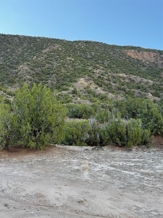 TBD LOT 3 Juniper Rd, Ojo Caliente, NM 87549 - photo 6