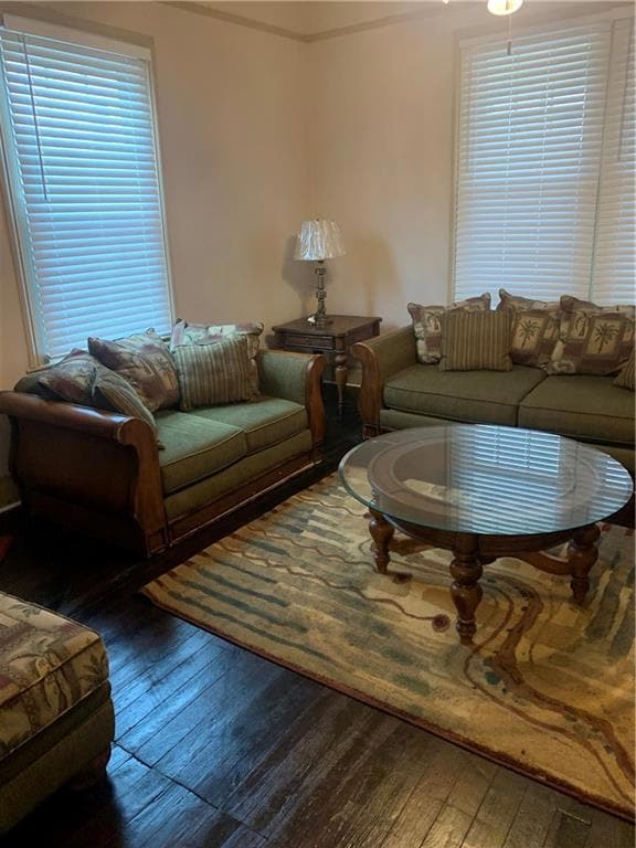 Living room featuring dark hardwood / wood-style f
