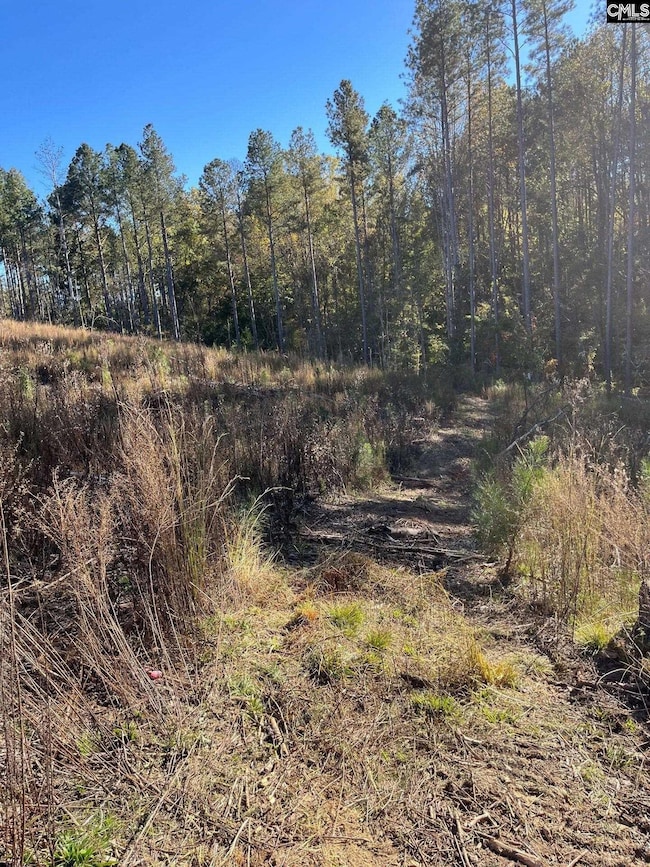 DRF 1 Dawkins Rd unit DRF 1, Pacolet, SC 29372 - photo 2