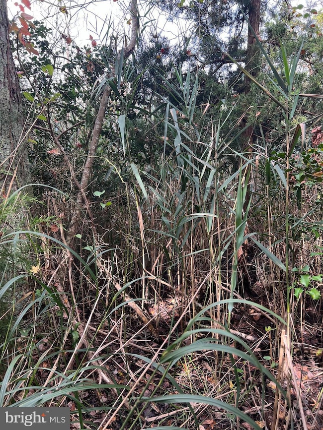 162-164 Powell Rd, Dennis, NJ 08270 - photo 5