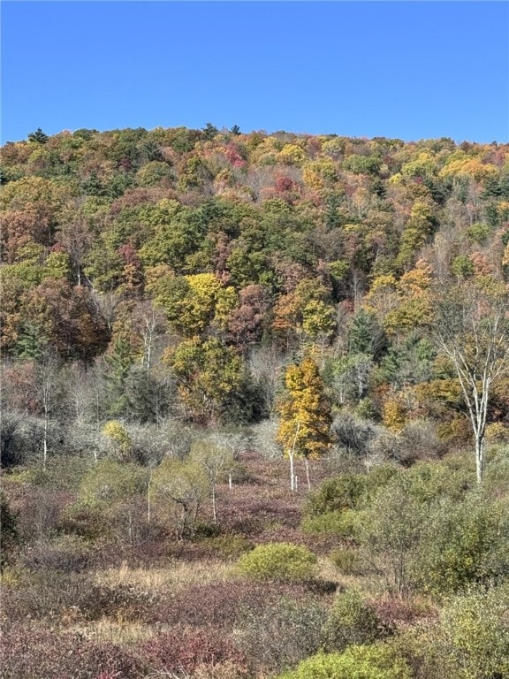 925 E Honeoye St, Shinglehouse, PA 16748 - photo 3