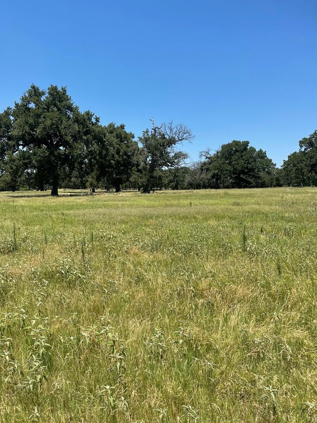 0 Cr 1200, Athens, TX 75751 - photo 3