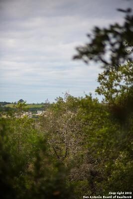 3803 Wilderness Elm, San Antonio, TX 78261 - photo 6