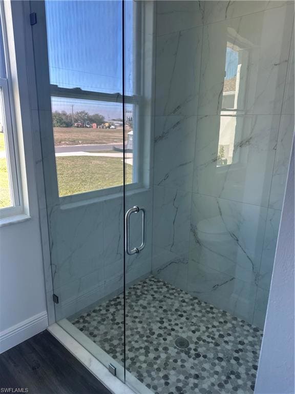 Bathroom featuring hardwood / wood-style floors an