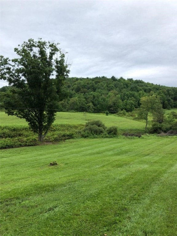 39 Sherman Hill Rd, Sidney, NY 13838 - photo 2