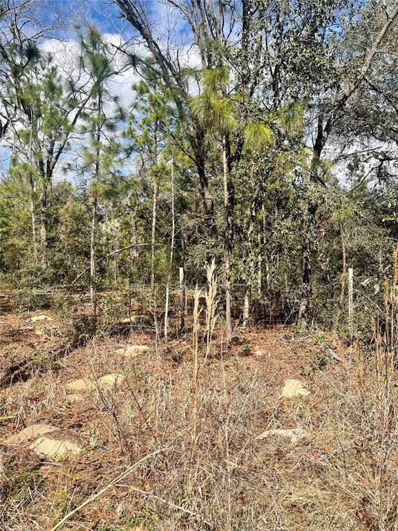 Lot #8 SE 73rd Place, Morriston, FL 32668 - photo 6