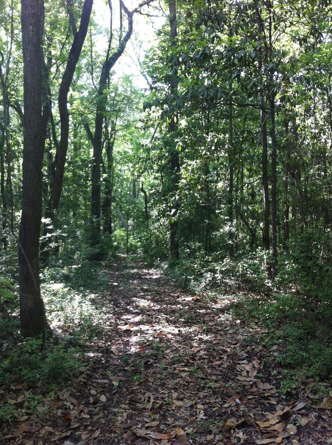 paul's pics 05.20.15 part 2 100