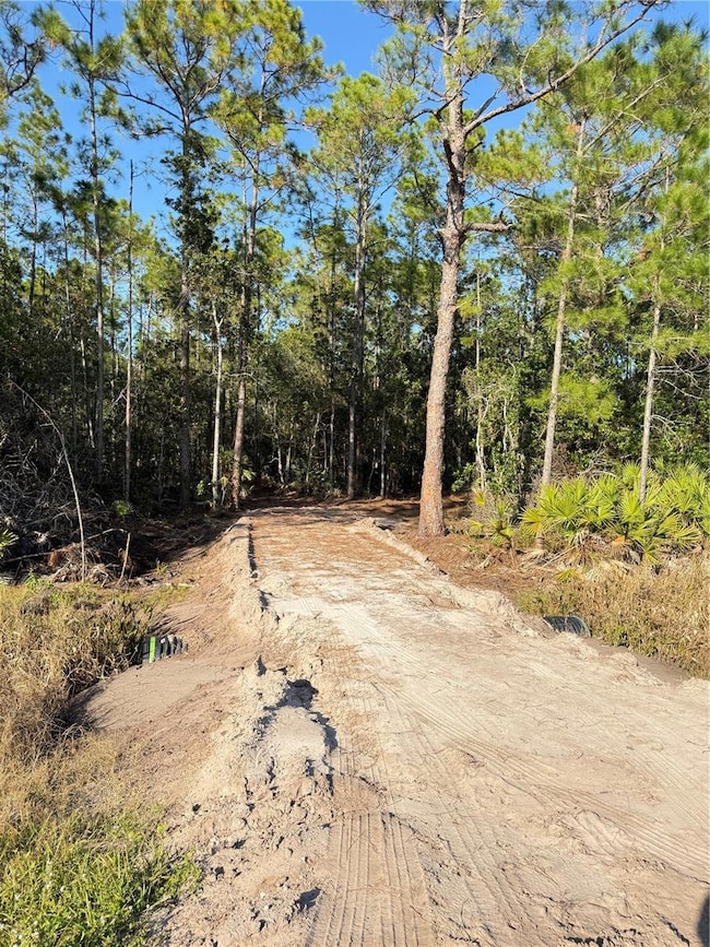 0 E Colonial Dr unit MFRS5139120, Christmas, FL 32709 - photo 2