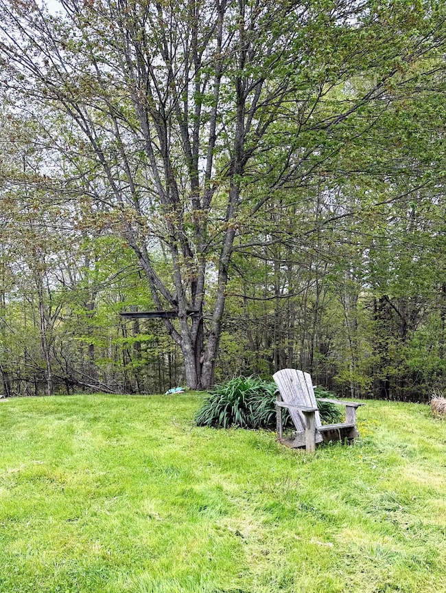 relax in the quiet back yard