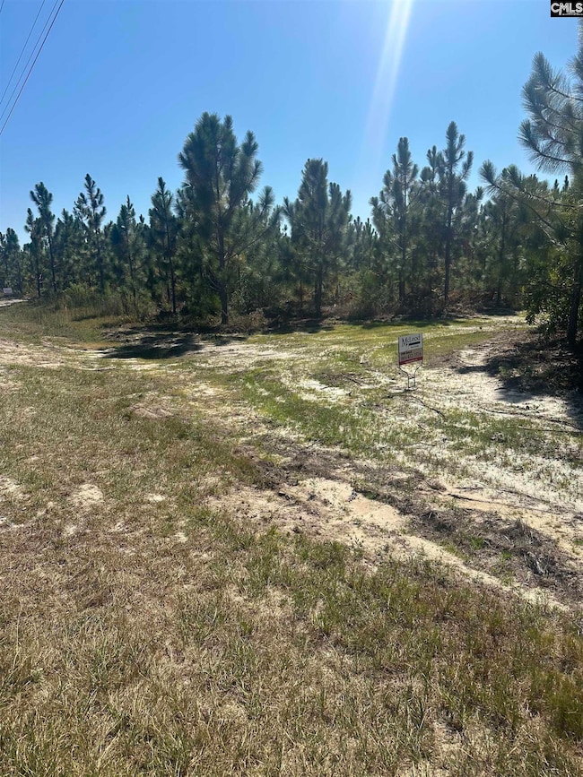 Tr 2 Providence Rd unit 2, Cassatt, SC 29032 - photo 2