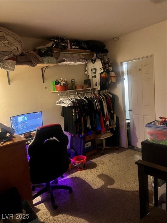 Spacious closet with carpet floors