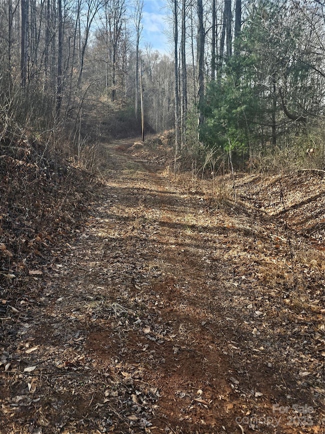 LT1 Varsity Dr, Sylva, NC 28779 - photo 3