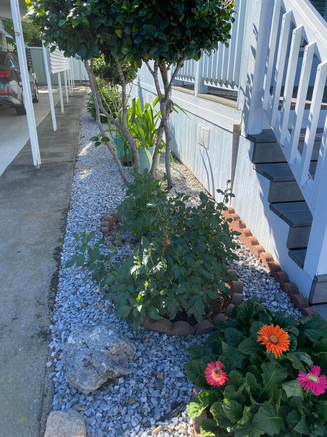 Side garden.