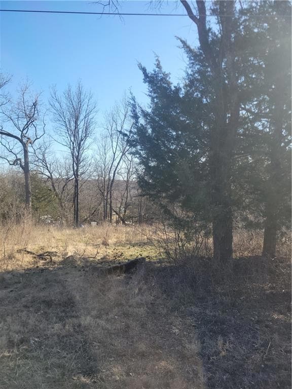 102 Maple Dr, Linn Valley, KS 66040 - photo 2