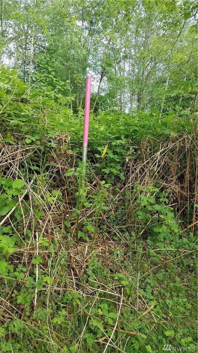 3520 300th St NW, Stanwood, WA 98292 - photo 7