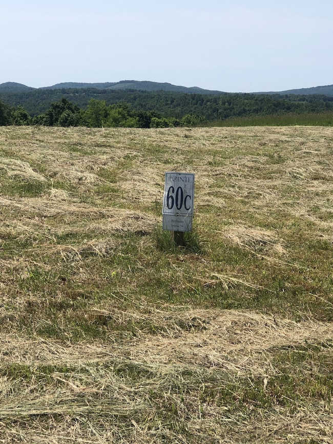 60C Walleye Rd, Hilham, TN 38551 - photo 4