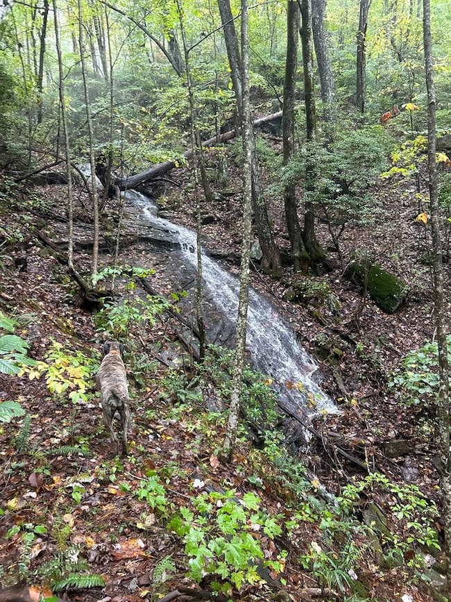 1298 Cold Stream Trail, Big Canoe, GA 30143 - photo 2