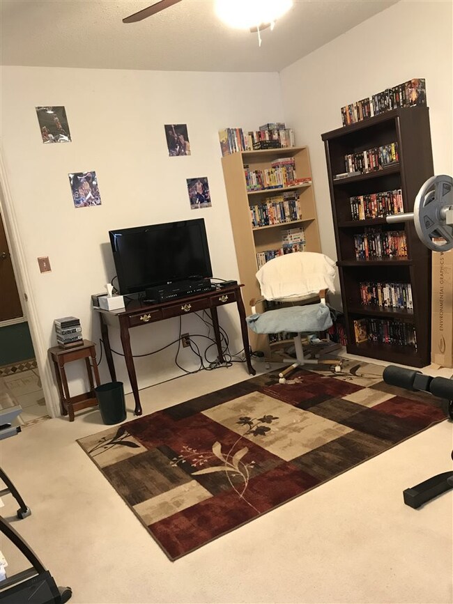 205 Plainview Dr, Alamogordo, NM 88310 - photo 7