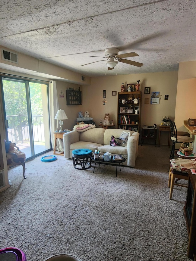 Family Room 3030 Karl Rd #217