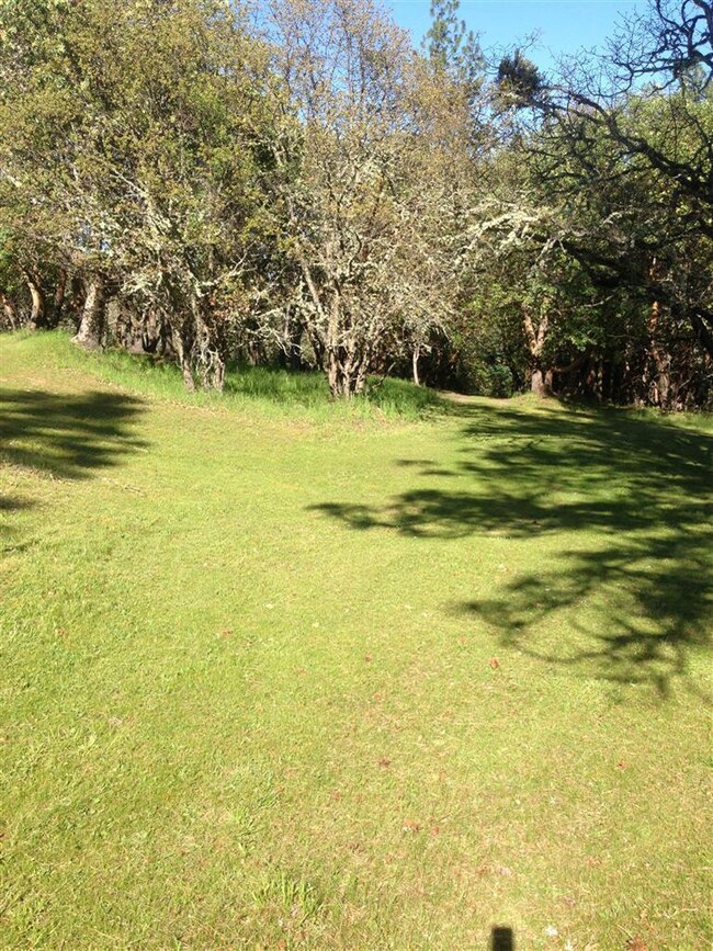 215 Morton Way, Jacksonville, OR 97530 - photo 2