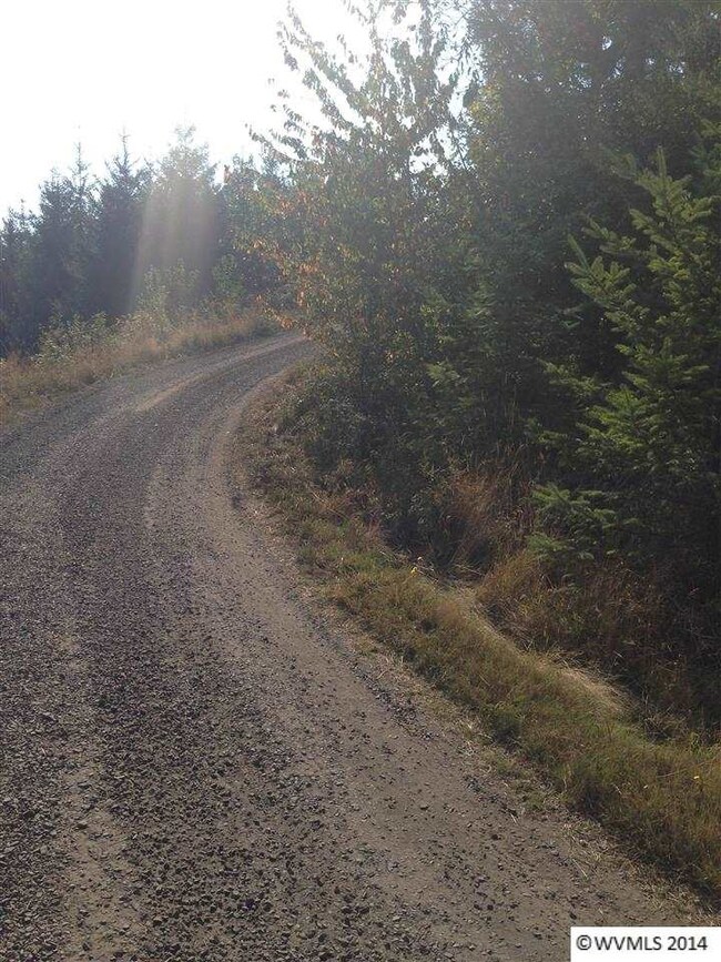 0 Mirror Pond Estates Lot 2 unit 682783, Amity, OR 97101 - photo 3