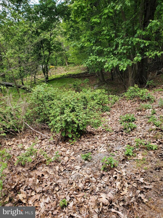 1344 Hoffmaster Rd, Knoxville, MD 21758 - photo 3