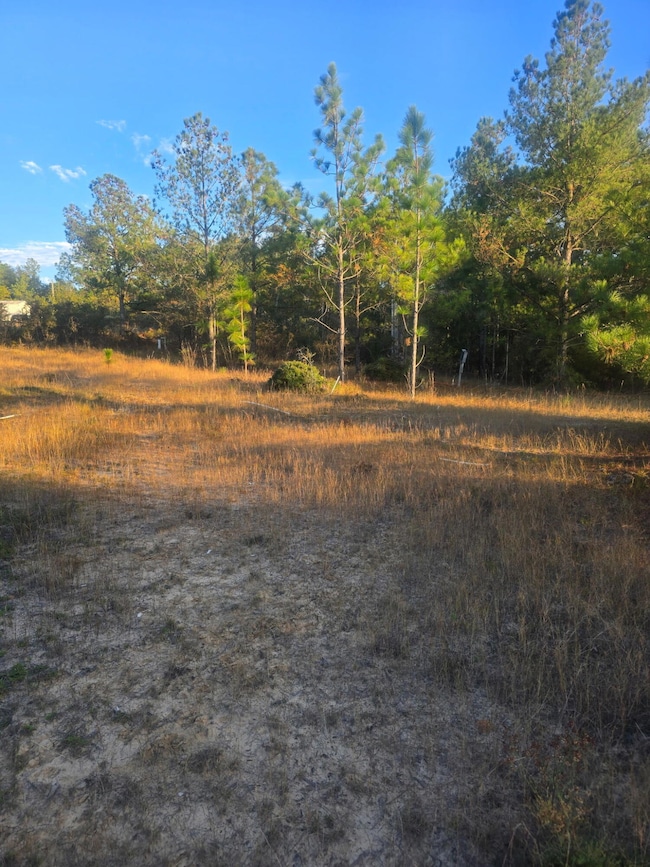 Tbd Hamilton Branch Way, Aiken, SC 29803 - photo 4